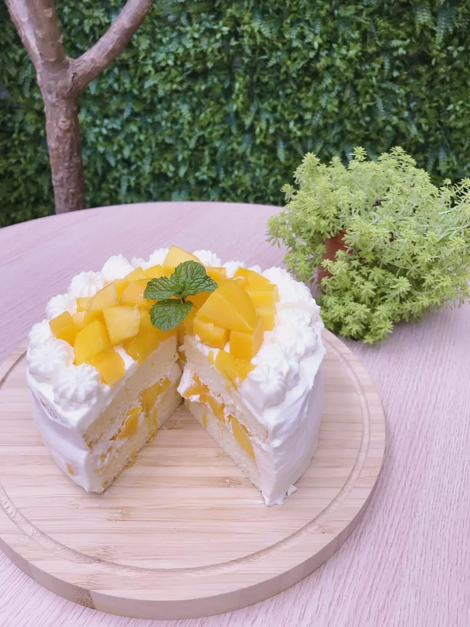 Lazzy Cafe 慵懶咖啡 85 - Travel of Rice 小米遊記 Lazzy Cafe 慵懶咖啡 85 - Travel of Rice 小米遊記