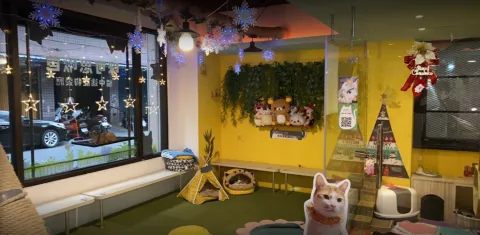 咪可思啾芭 貓中途寵物餐廳 30 - Travel of Rice 小米遊記