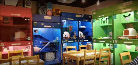 咪可思啾芭 貓中途寵物餐廳 31 - Travel of Rice 小米遊記