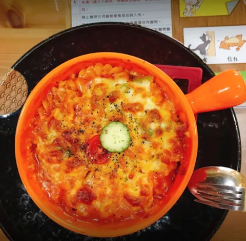 咪可思啾芭 貓中途寵物餐廳 44 - Travel of Rice 小米遊記