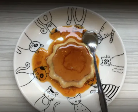 咪可思啾芭 貓中途寵物餐廳 47 - Travel of Rice 小米遊記