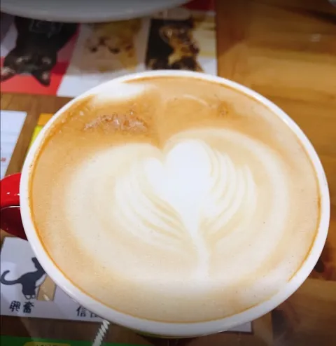 咪可思啾芭 貓中途寵物餐廳 48 - Travel of Rice 小米遊記