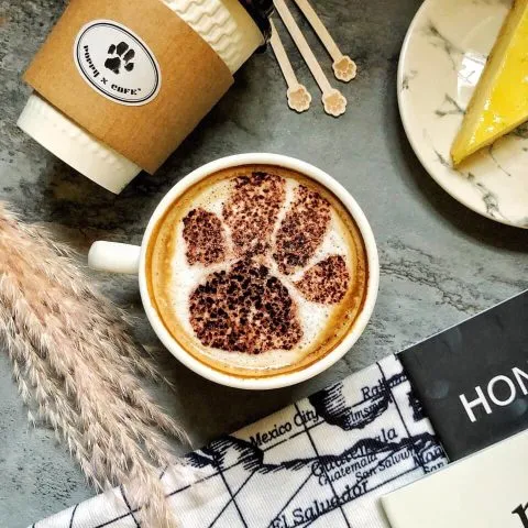 POPPY CAFE' 寵物友善咖啡廳 39 - Travel of Rice 小米遊記