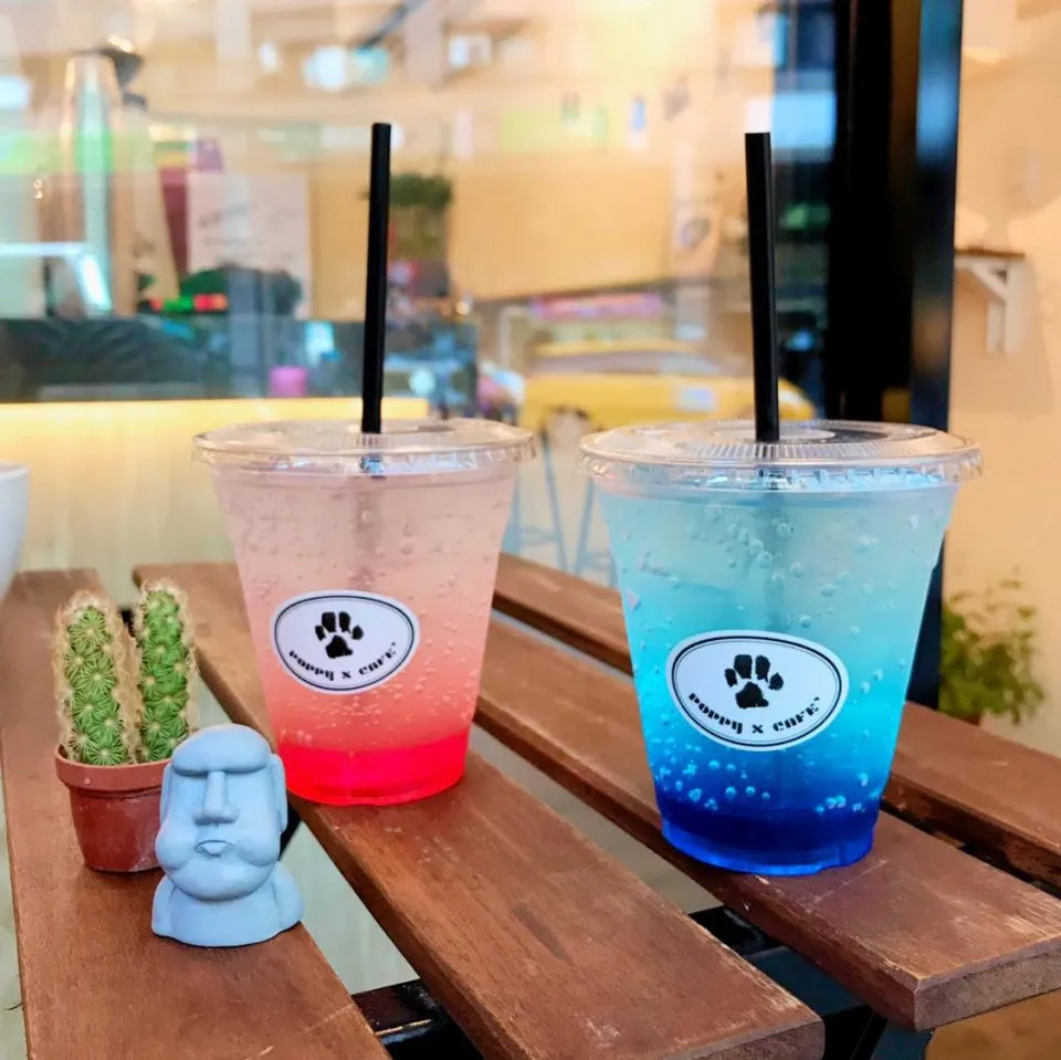 POPPY CAFE' 寵物友善咖啡廳 40 - Travel of Rice 小米遊記 POPPY CAFE' 寵物友善咖啡廳 40 - Travel of Rice 小米遊記