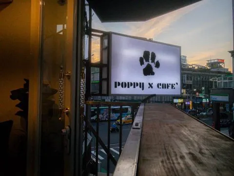 POPPY CAFE' 寵物友善咖啡廳 41 - Travel of Rice 小米遊記