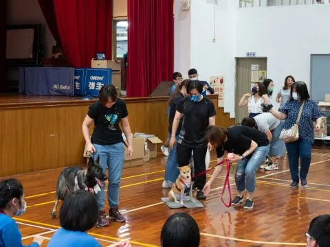 宜蘭特殊教育學校/宜蘭五結 45 - Travel of Rice 小米遊記 宜蘭特殊教育學校/宜蘭五結 45 - Travel of Rice 小米遊記