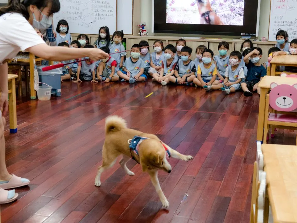 建安國小附設幼兒園/台北大安 52 - Travel of Rice 小米遊記 建安國小附設幼兒園/台北大安 52 - Travel of Rice 小米遊記