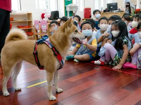 建安國小附設幼兒園／台北大安 56 - Travel of Rice 小米遊記