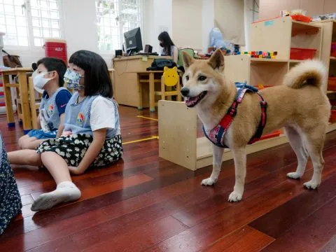 建安國小附設幼兒園／台北大安 59 - Travel of Rice 小米遊記
