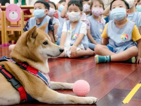 建安國小附設幼兒園／台北大安 60 - Travel of Rice 小米遊記
