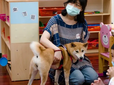 建安國小附設幼兒園／台北大安 62 - Travel of Rice 小米遊記