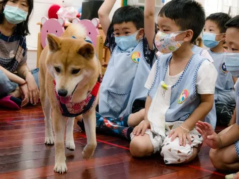 建安國小附設幼兒園／台北大安 63 - Travel of Rice 小米遊記