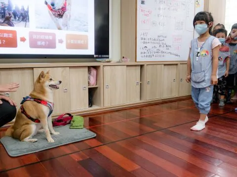 建安國小附設幼兒園／台北大安 67 - Travel of Rice 小米遊記