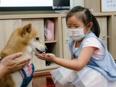 建安國小附設幼兒園／台北大安 69 - Travel of Rice 小米遊記