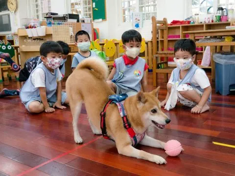 建安國小附設幼兒園／台北大安 71 - Travel of Rice 小米遊記