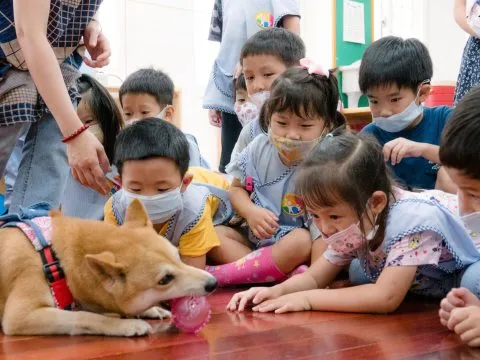 建安國小附設幼兒園／台北大安 72 - Travel of Rice 小米遊記