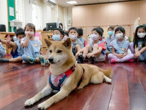 建安國小附設幼兒園／台北大安 75 - Travel of Rice 小米遊記