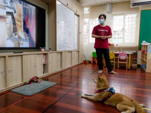 建安國小附設幼兒園／台北大安 76 - Travel of Rice 小米遊記