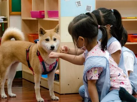 建安國小附設幼兒園／台北大安 79 - Travel of Rice 小米遊記