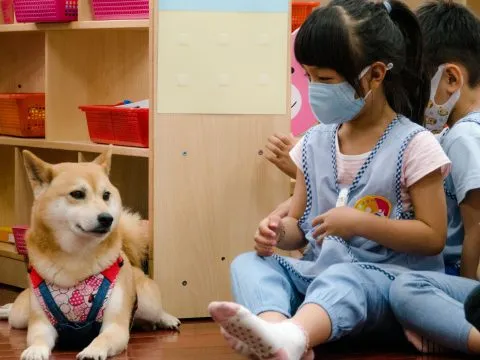 建安國小附設幼兒園／台北大安 80 - Travel of Rice 小米遊記