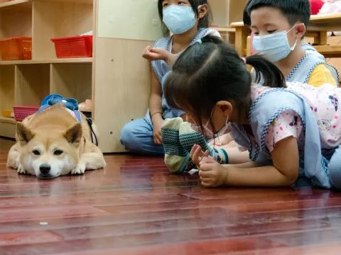 建安國小附設幼兒園／台北大安 82 - Travel of Rice 小米遊記
