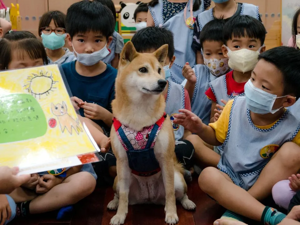 建安國小附設幼兒園/台北大安 83 - Travel of Rice 小米遊記 建安國小附設幼兒園/台北大安 83 - Travel of Rice 小米遊記