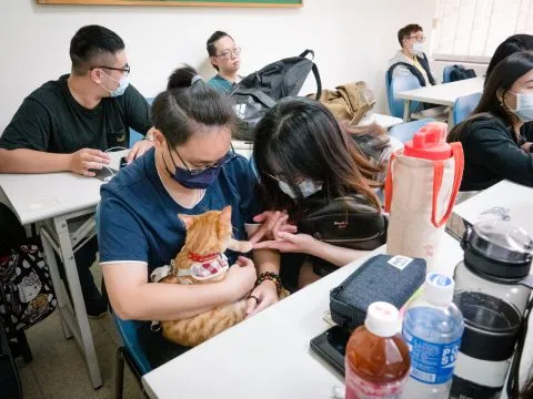 中國科技大學新竹校區/新竹湖口 34 - Travel of Rice 小米遊記 中國科技大學新竹校區/新竹湖口 34 - Travel of Rice 小米遊記