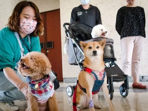 中國科技大學新竹校區/新竹湖口 39 - Travel of Rice 小米遊記 中國科技大學新竹校區/新竹湖口 39 - Travel of Rice 小米遊記