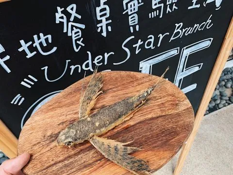 Under Star Lab 草地餐桌實驗室 59 - Travel of Rice 小米遊記