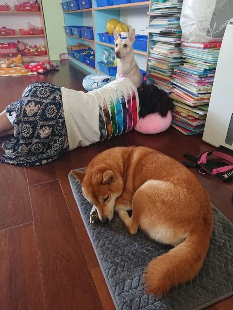 花嶼國小巡迴記 110 - Travel of Rice 小米遊記