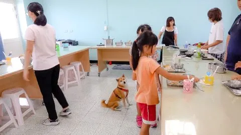 花嶼國小巡迴記 109 - Travel of Rice 小米遊記