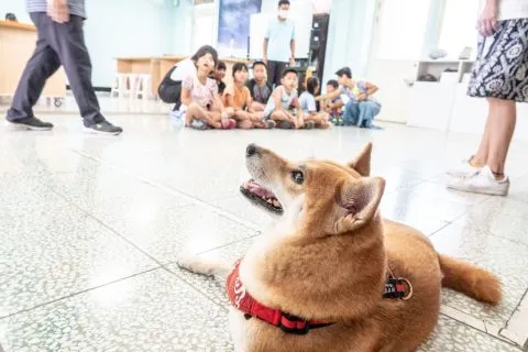 花嶼國小巡迴記 79 - Travel of Rice 小米遊記