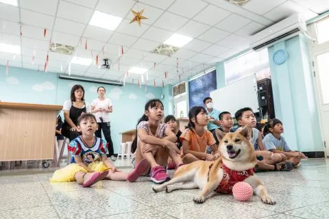 花嶼國小巡迴記 81 - Travel of Rice 小米遊記