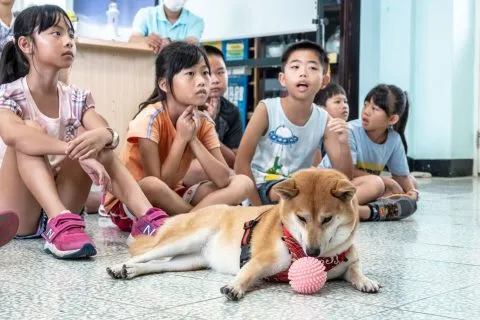 花嶼國小巡迴記 88 - Travel of Rice 小米遊記