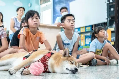 花嶼國小巡迴記 89 - Travel of Rice 小米遊記