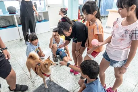 花嶼國小巡迴記 95 - Travel of Rice 小米遊記