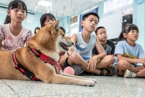 花嶼國小巡迴記 98 - Travel of Rice 小米遊記