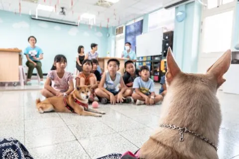 花嶼國小巡迴記 100 - Travel of Rice 小米遊記