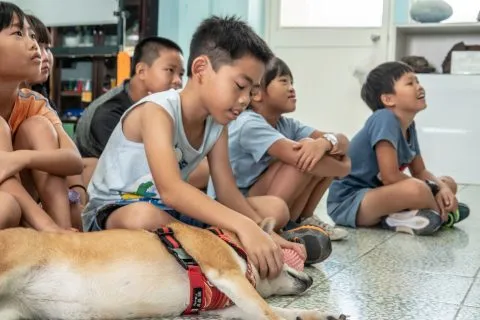 花嶼國小巡迴記 102 - Travel of Rice 小米遊記