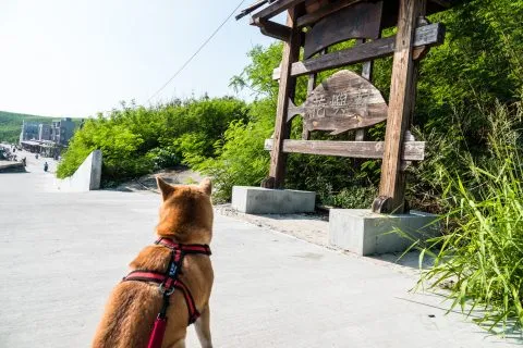 花嶼國小巡迴記 74 - Travel of Rice 小米遊記