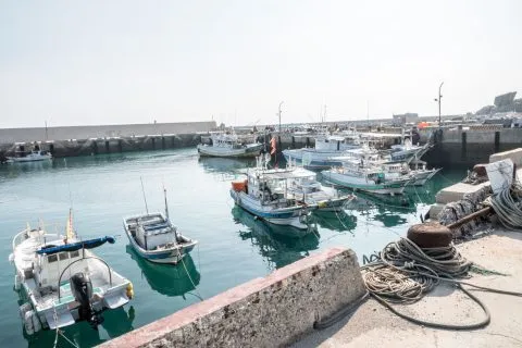 花嶼國小巡迴記 73 - Travel of Rice 小米遊記