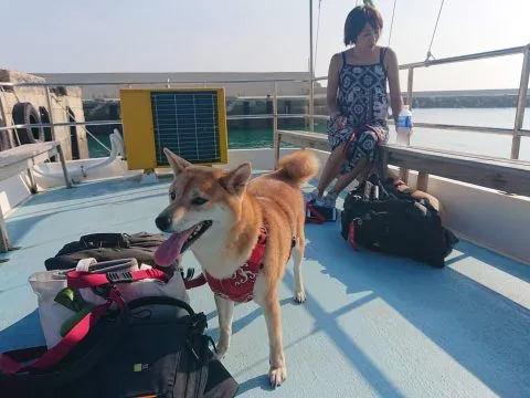 花嶼國小巡迴記 114 - Travel of Rice 小米遊記