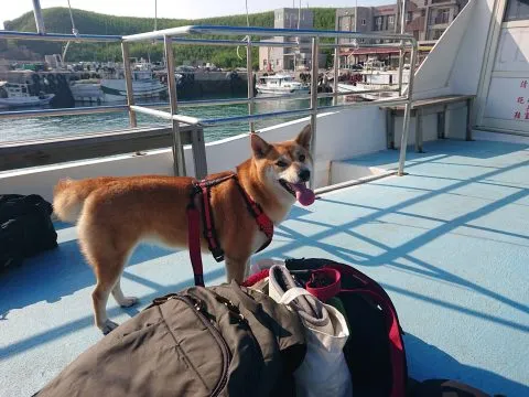 花嶼國小巡迴記 72 - Travel of Rice 小米遊記