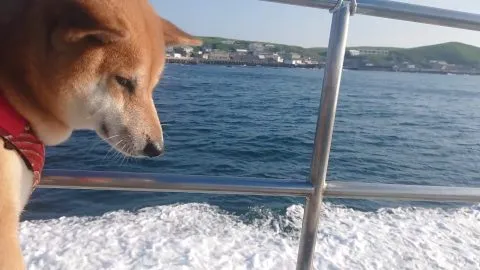 花嶼國小巡迴記 71 - Travel of Rice 小米遊記