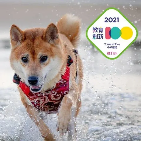 2022外島《獨一無二的家人》校園巡迴生命教育啟動！ 23 - Travel of Rice 小米遊記