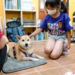 阿布探索教室/新竹竹北 39 - Travel of Rice 小米遊記 阿布探索教室/新竹竹北 39 - Travel of Rice 小米遊記
