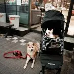 CAMPUS美式校園輕食餐廳忠孝店 24 - Travel of Rice 小米遊記