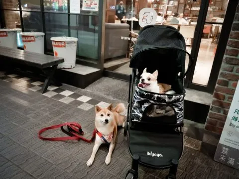 CAMPUS美式校園輕食餐廳忠孝店 24 - Travel of Rice 小米遊記 CAMPUS美式校園輕食餐廳忠孝店 24 - Travel of Rice 小米遊記
