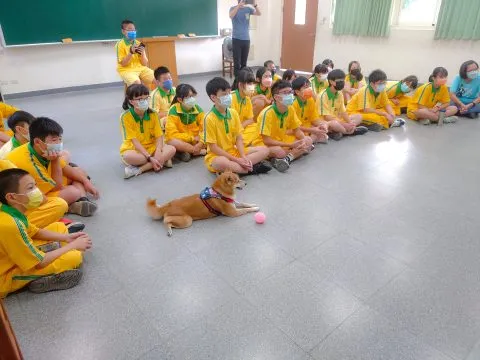 雙十國中/台中北區 22 - Travel of Rice 小米遊記 雙十國中/台中北區 22 - Travel of Rice 小米遊記