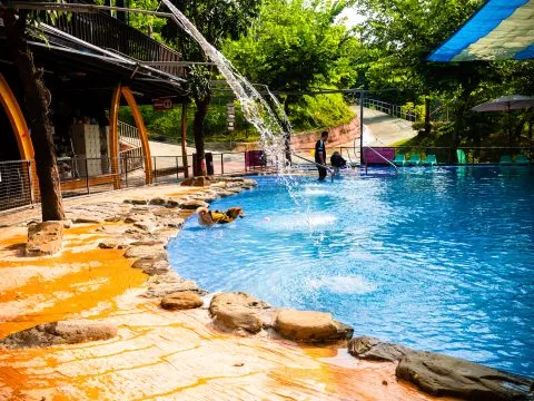 森呼吸Jorona Park寵物休閒廣場 13 - Travel of Rice 小米遊記 森呼吸Jorona Park寵物休閒廣場 13 - Travel of Rice 小米遊記